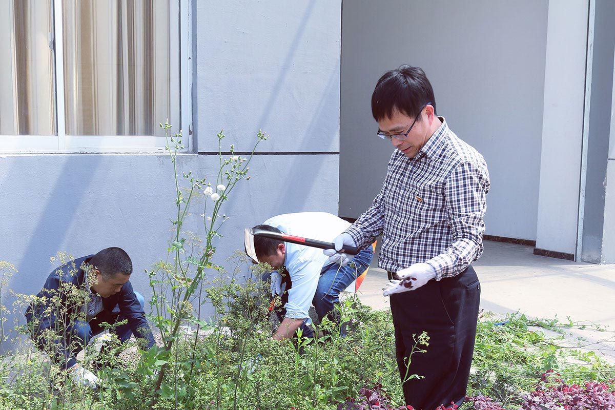 江蘇工廠廠區(qū)清掃